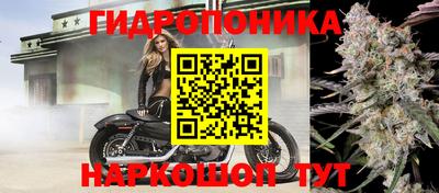 кокс Новодвинск